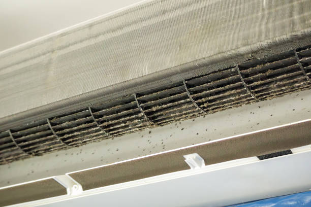 Best Professional Duct Cleaning Services  in Littleton Common, MA